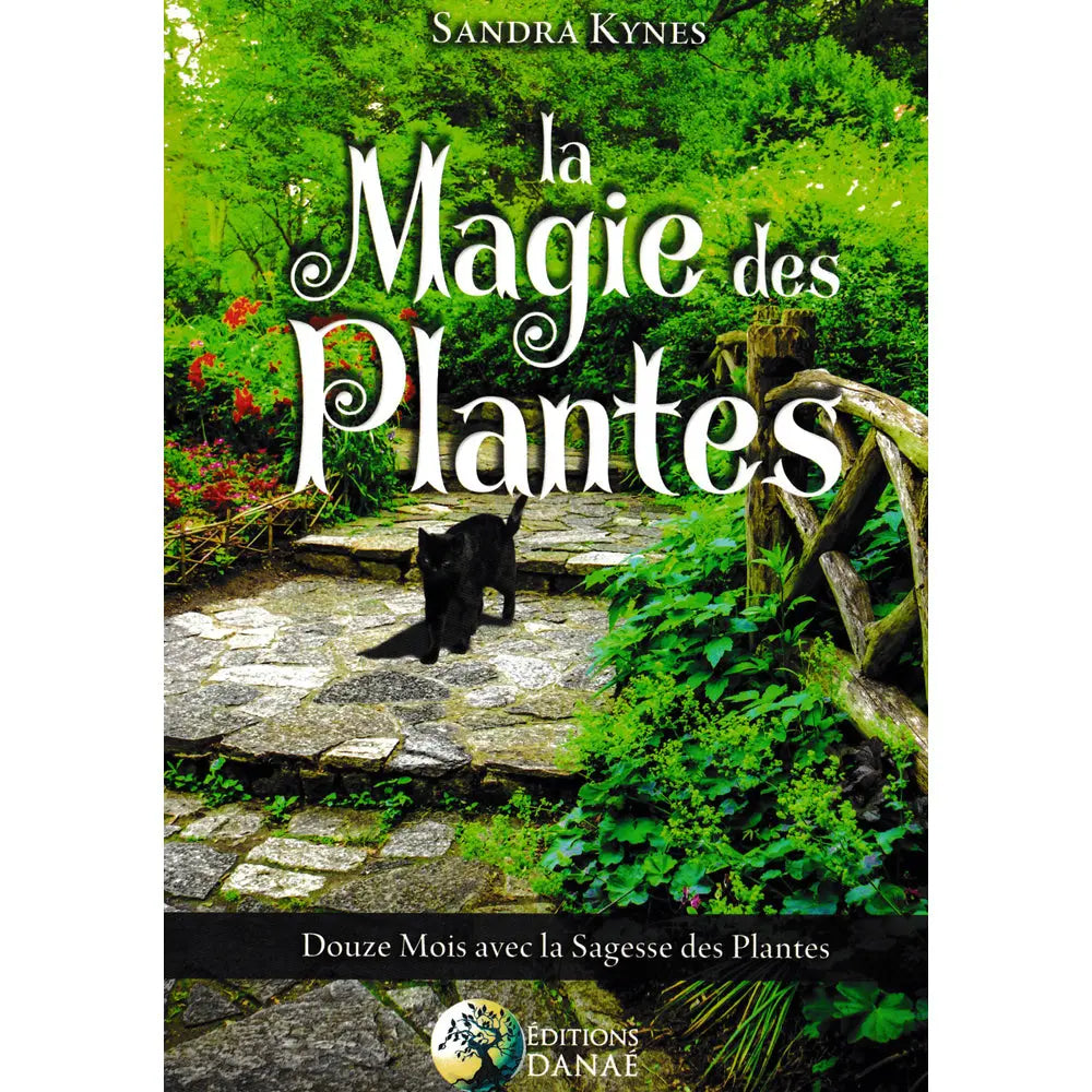 Livre La Magie des Plantes de Sandra Kynes avec couverture verte illustrée d'un chat noir marchant sur un sentier en pierre dans un jardin.