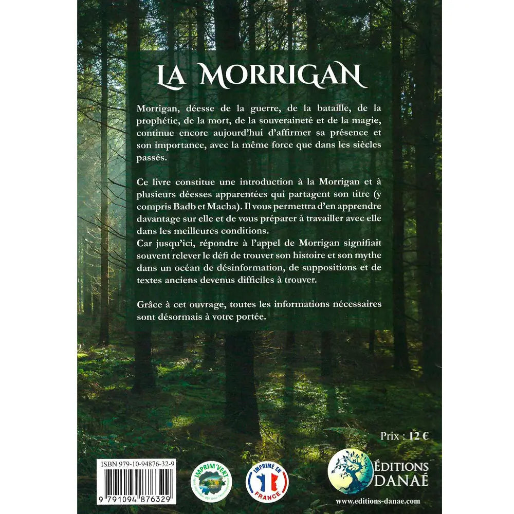 La Morrigan illustré par le verso de sa couverture présentant un résumé de l'ouvrage sur un fond de forêt verdoyante et arborée.