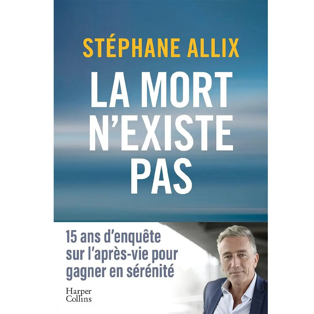 La Mort n'existe pas de Stéphane Allix, illustré par un horizon bleu et brumeux au-dessus d'une bande blanche présentant un portrait de l'auteur.