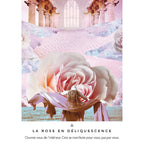 La Voie des Artisans de Lumière - Cartes Oracle - Rebecca Campbell Editions Exergue