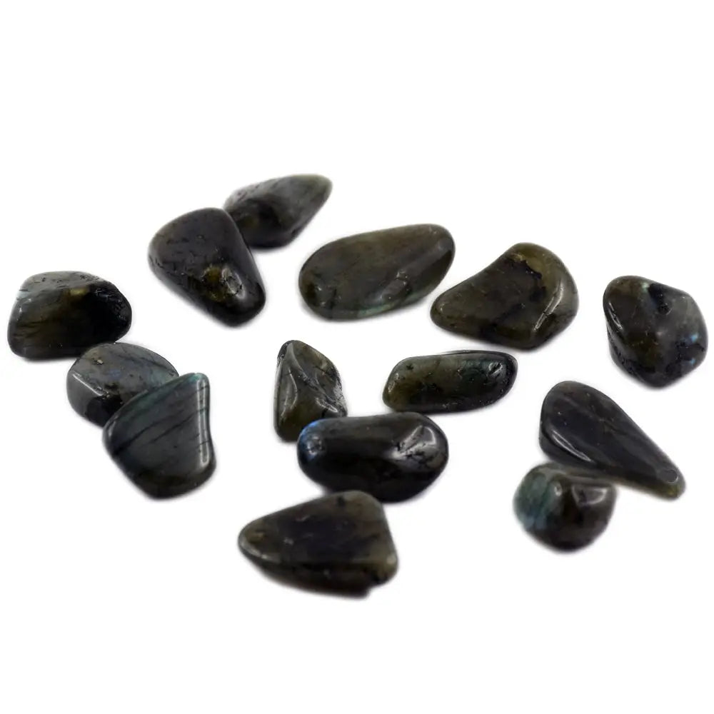 Un ensemble de pierres de labradorite roulées aux surfaces sombres et polies, parsemées de reflets irisés subtils, dispersées sur un fond blanc uni.