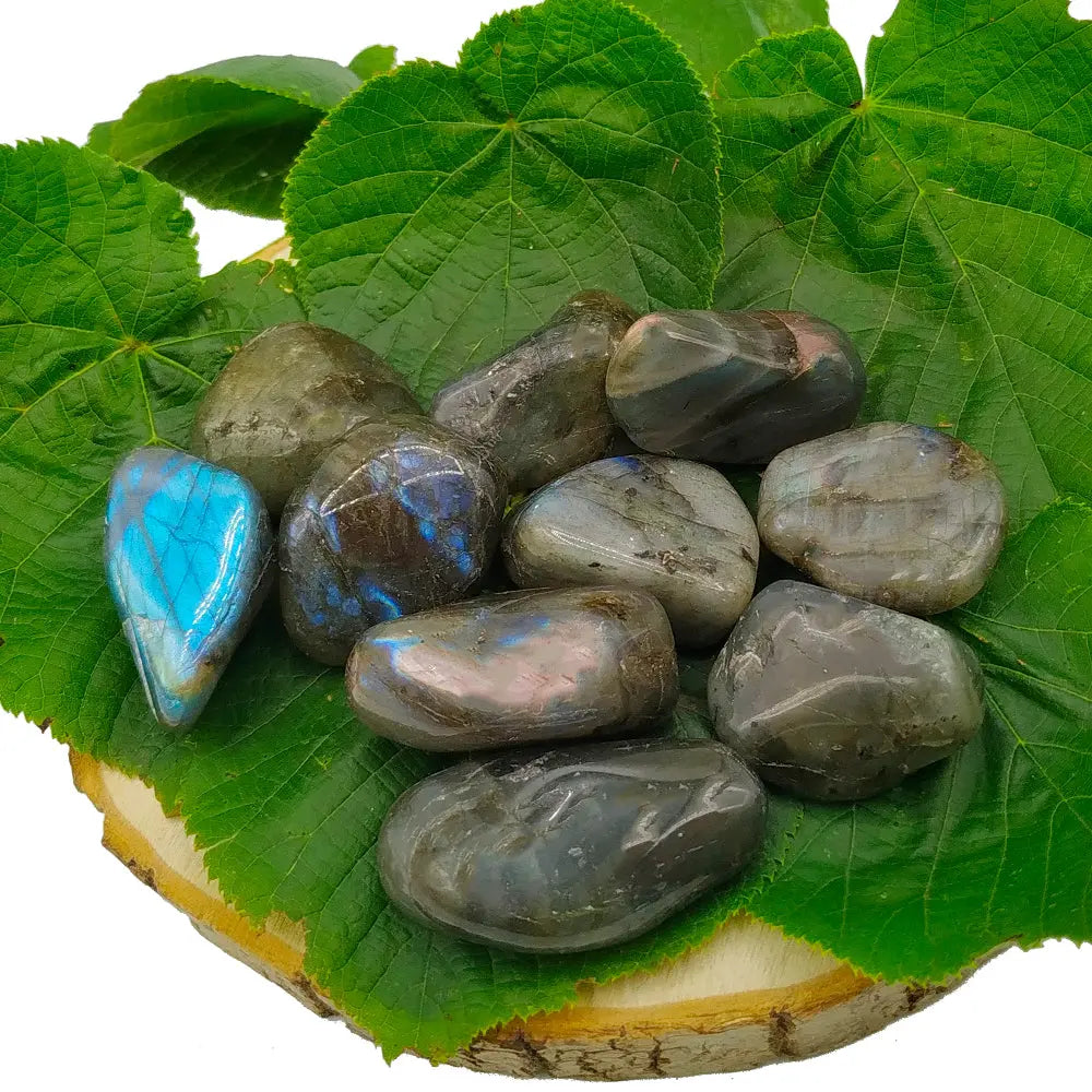 Un groupe de pierres de labradorite roulées aux reflets bleutés et métallisés, disposé sur de larges feuilles vertes posées sur une rondelle de bois naturel.