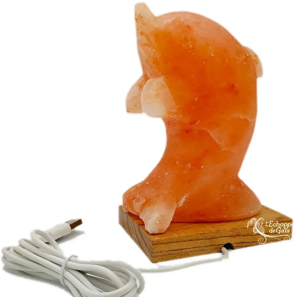 Lampe de sel rose sculptée en forme de dauphin sur socle en bois avec câble USB blanc