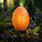 Lampe en sel de l'Himalaya en forme d'oeuf strié allumée, diffusant une lumière chaude et ambrée sur une souche moussue en pleine forêt mystique avec des médaillons de l'Arbre de Vie.