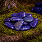 Un groupe de galets de lapis-lazuli d'un bleu outremer profond avec des inclusions dorées, disposé sur une branche moussue dans un décor de sous-bois naturel.