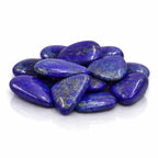 Un groupe de galets de lapis-lazuli d'un bleu outremer intense avec des inclusions dorées de pyrite, présenté sur un fond blanc pur avec des reflets brillants.