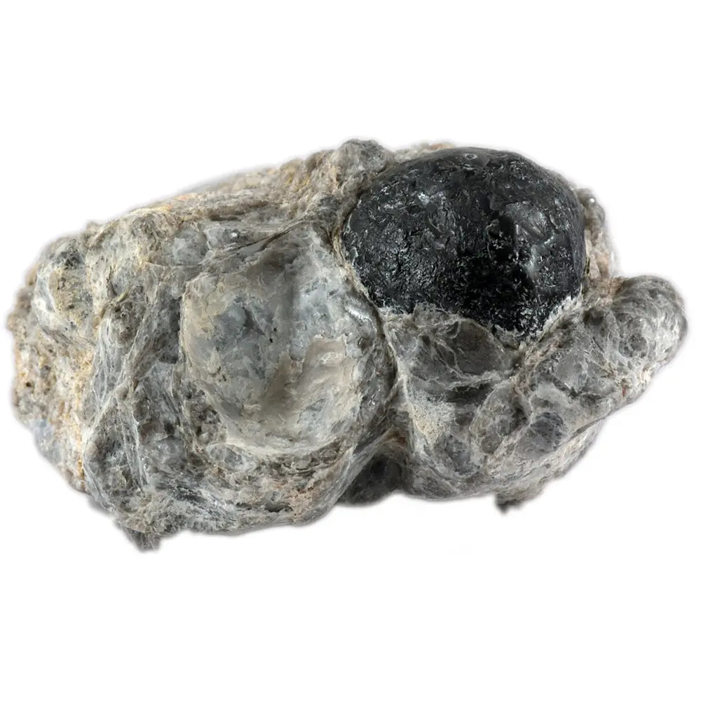 Larme d'Apache sur Gangue, illustré par un nodule d'obsidienne noire de forme sphérique, contrastant fortement avec sa gangue de roche volcanique gris clair et translucide par endroits.