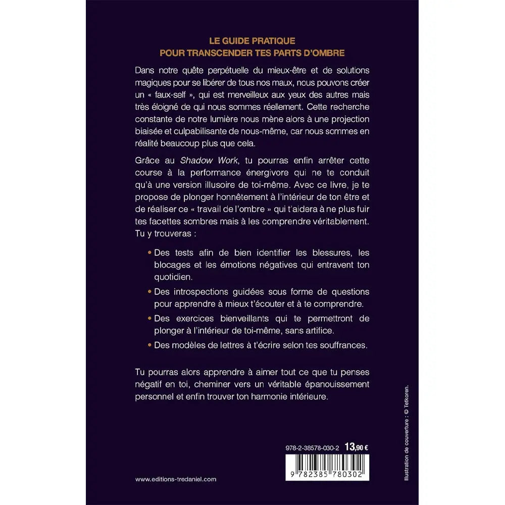Le Shadow Work d'Isabelle Cerf illustré par sa quatrième de couverture présentant le résumé et le contenu pratique du journal sur un fond violet foncé épuré.