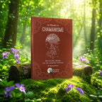 Livre Le Monde Du Chamanisme sur mousse sacrée au pied d'un arbre, entouré de fleurs violettes sous des rayons de soleil magiques.