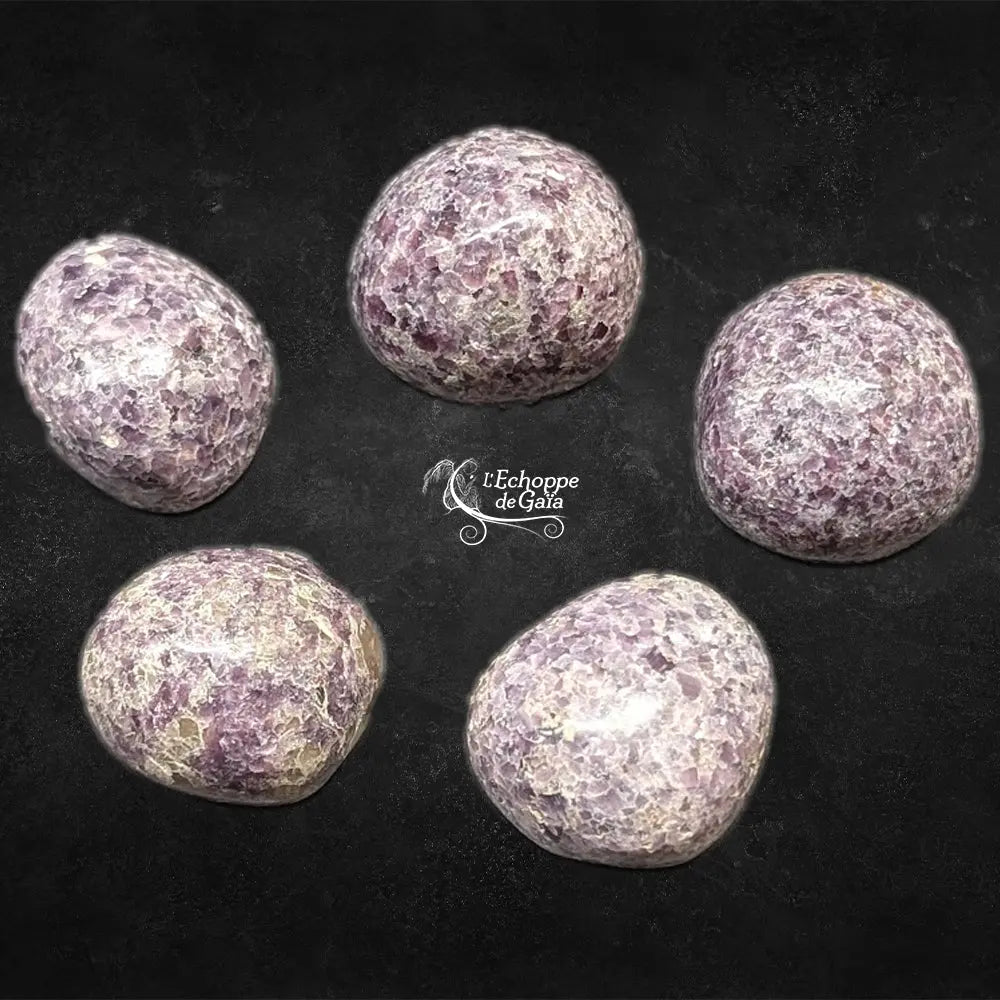 Cinq pierres de lépidolite roulées aux textures cristallines mauves et nacrées, disposées en cercle sur un fond noir texturé.