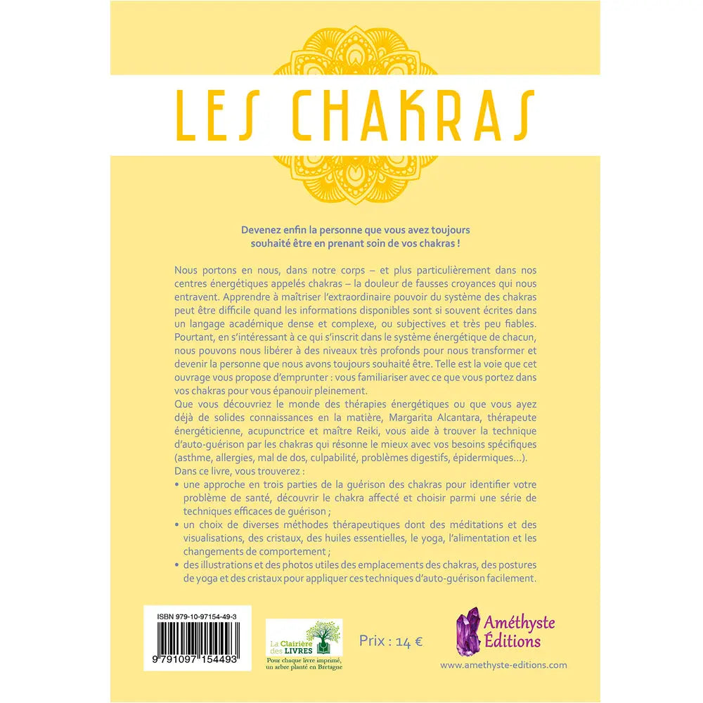 Les Chakras de Margarita Alcantara, sa quatrième de couverture présentant un résumé détaillé sur les centres énergétiques du corps sur un fond jaune pâle.