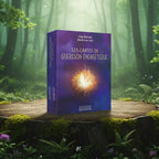 Coffret violet Les Cartes de Guérison Energétique de Lise Bartoli posé sur une souche, illustré de mains ouvertes libérant une lumière dorée éclatante par Lynä.