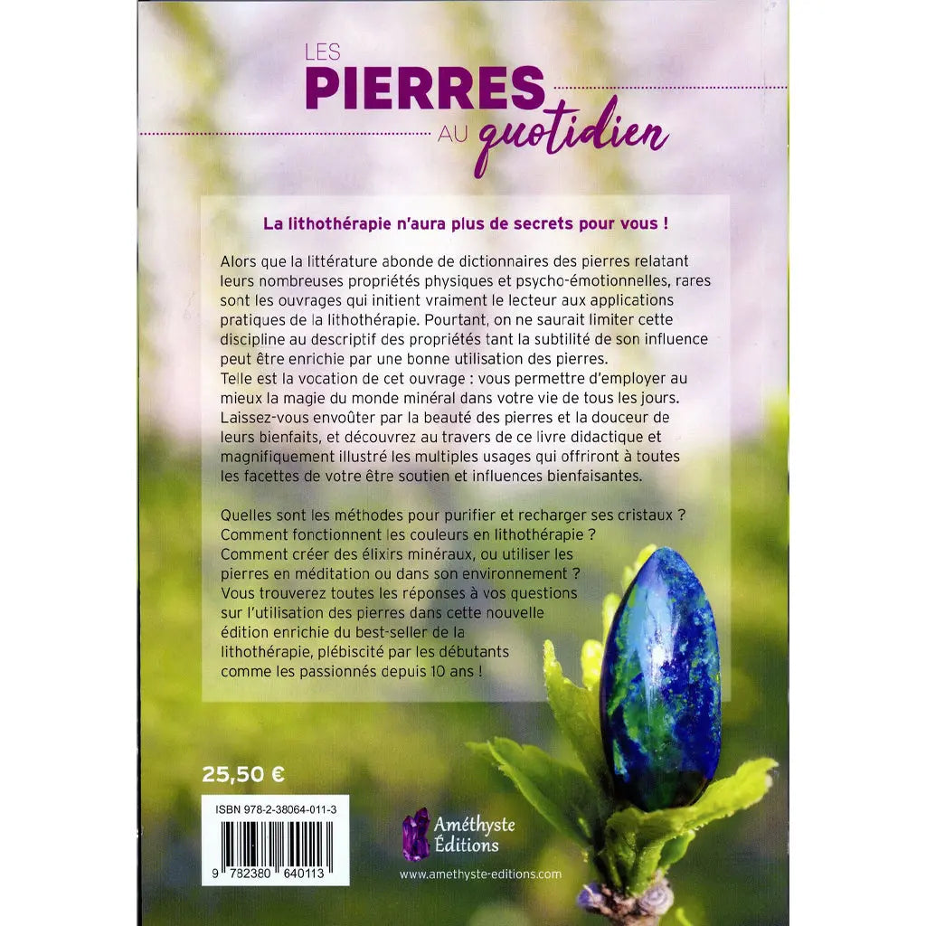 Quatrième de couverture du livre "Les Pierres au quotidien", présentant un texte descriptif sur la lithothérapie, accompagné d'une illustration d'une pierre bleue polie sur un bourgeon de plante.