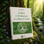 Livre Les Rites et Célébrations de la Roue de l'année - Jane Meredith sur mousse sacrée au pied d'un arbre, entouré de fleurs violettes sous des rayons de soleil magiques.