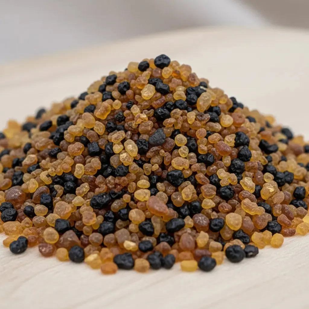 Gros plan sur des grains de résine d’encens du Liban ambrés et noirs sur fond clair.
