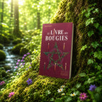 Livre Le Livre des Bougies sur mousse sacrée au pied d'un arbre, entouré de fleurs violettes sous des rayons de soleil magiques.