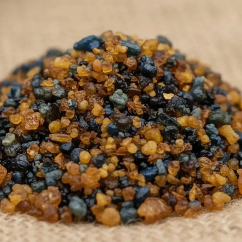 Gros plan sur des grains de résine d’encens de Lourdes ambrés et noirs sur fond naturel.

