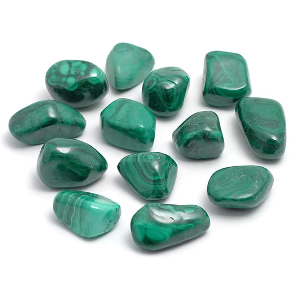Pierres de malachite polies, arborant leurs nuances de vert intenses et leurs motifs rubanés caractéristiques, présentées sur un fond blanc.