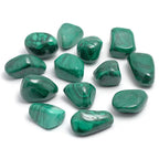 Pierres de malachite polies, arborant leurs nuances de vert intenses et leurs motifs rubanés caractéristiques, présentées sur un fond blanc.
