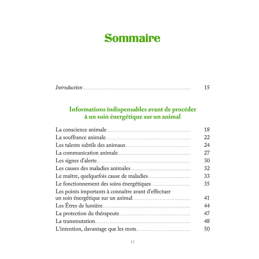 Manuel de Soins Énergétiques pour les Animaux de Luc Bodin, page du sommaire listant les informations indispensables avant de procéder à un soin énergétique.