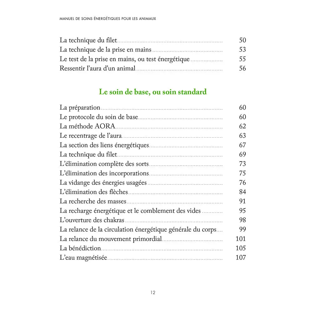 Manuel de Soins Énergétiques pour les Animaux de Luc Bodin, une page du sommaire détaillant la section sur le soin de base ou soin standard.