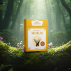 Coffret jaune et or Mes Cartes de Mudras de Ariane Péclard-Sahli posé sur une souche, illustré de mains formant une mudra sacrée.