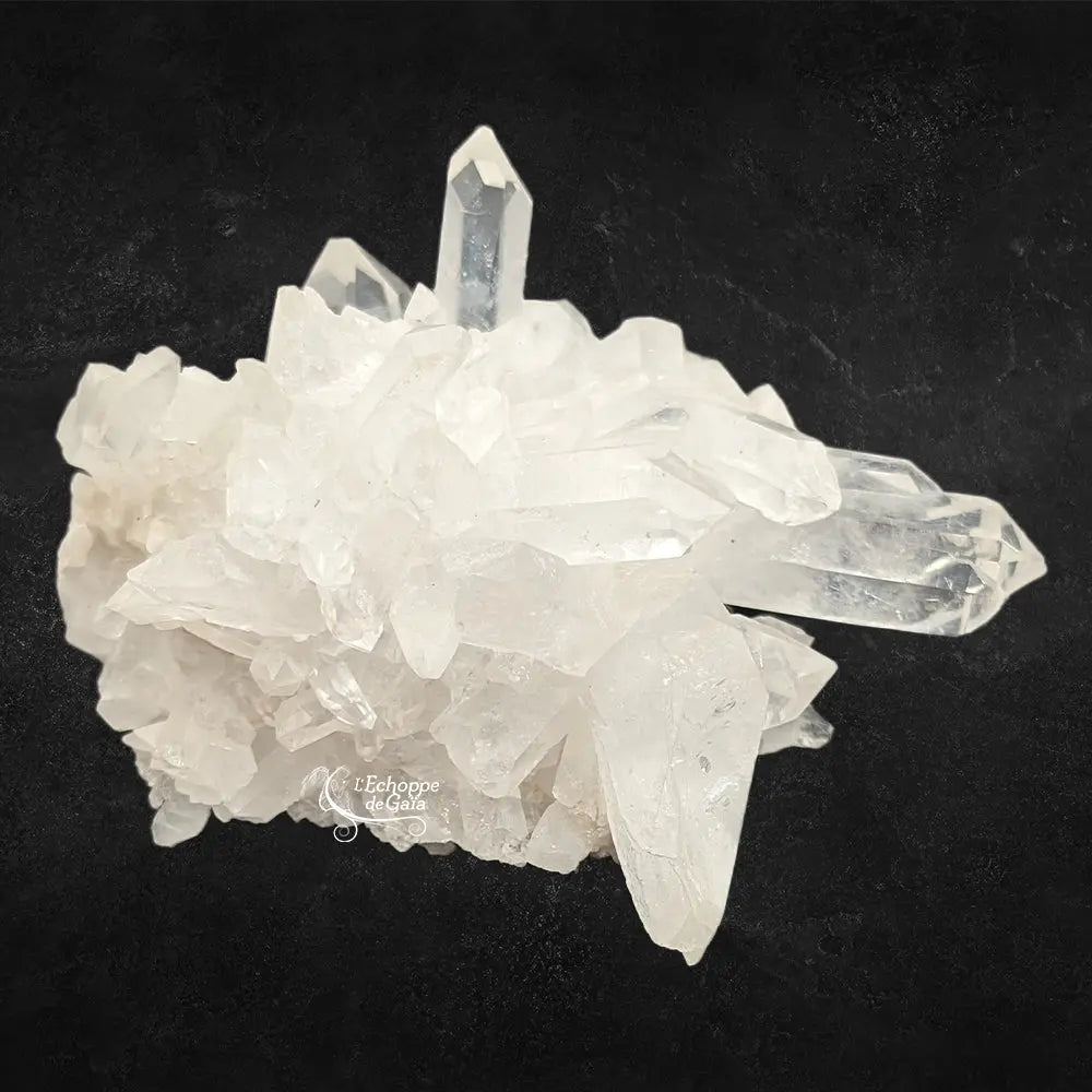 Amas de cristal de roche quartz avec plusieurs pointes prismatiques transparentes sur un fond noir uni.