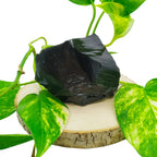 Bloc d'obsidienne noire brute à la surface vitreuse et aux reflets brillants, présenté sur une rondelle de bois entourée de feuilles de lierre panachées vert et jaune.