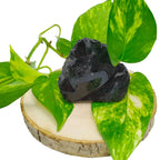 Pierre d'obsidienne noire brute aux éclats vitreux et sombres, posée sur une tranche de bois naturel et entourée de feuilles de lierre panachées vert et jaune sur fond blanc.