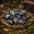Pierres roulées d'Obsidienne mouchetée d'un noir profond parsemé de flocons gris neigeux, posées sur un socle de bois brut moussue à côté d'un coffret antique dans une forêt mystique.