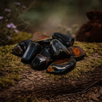 Groupe de pierres d'oeil de faucon polies aux reflets bleu sombre, gris et parfois des zones marron, disposées sur un tronc d'arbre moussue en forêt.