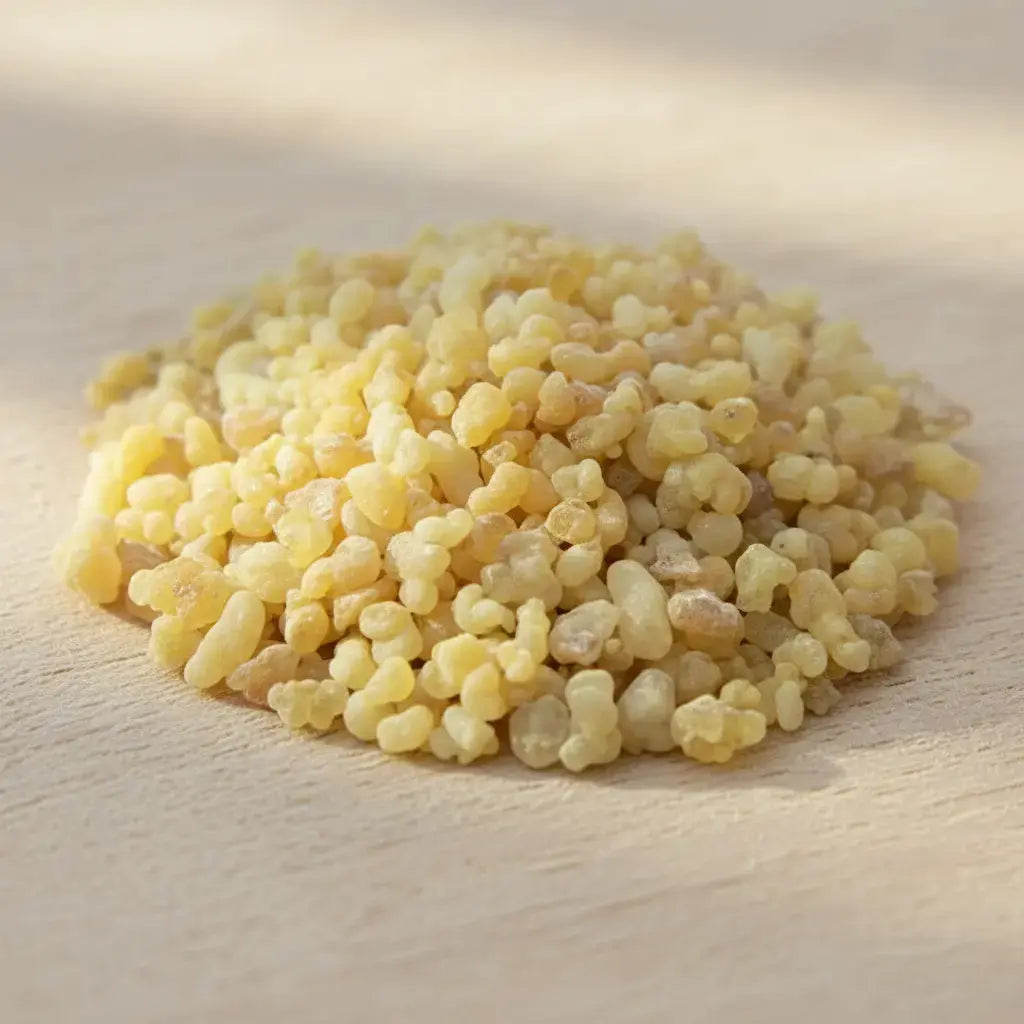 Gros plan sur un monticule de grains de résine d'Encens Oliban (Larmes d'Encens), montrant une couleur jaune pâle et ivoire, translucide, sur une surface en bois clair.