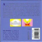 L'Oracle de l'Être infini quatrième de couverture violette présentant le résumé des 44 cartes, deux exemples d'illustrations solaires, le prix et la biographie d'Anne Ghesquière.