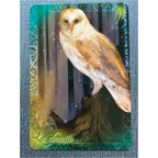 L'Oracle du Peuple Animal - Arnaud Riou - Coffret 50 Cartes Guy Trédaniel Editeur