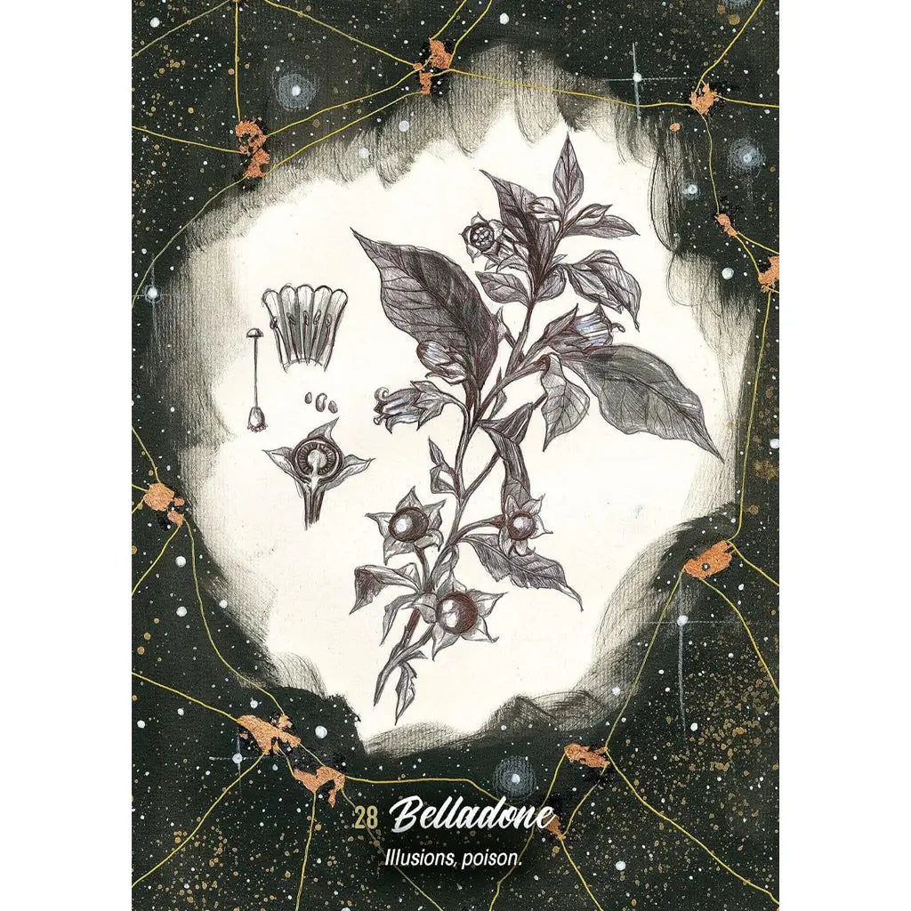 L'Oracle de la Sorcière Guérisseuse - Coffret 62 Cartes Arthémise Rose Editions Eyrolles