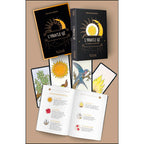 L'Oracle Gé Jeu Simple illustré par son coffret noir et or accompagné de sa notice ouverte et de plusieurs cartes divinatoires aux dessins colorés.