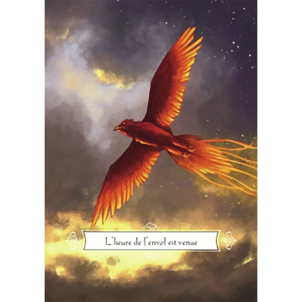 L'Oracle du Phénix - Damien Jacquemet - Coffret 40 Cartes Guy Trédaniel Editeur