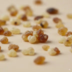 Gros plan sur des grains de résine de Palo Santo, ambrés et ivoire, dispersés sur une surface claire. 