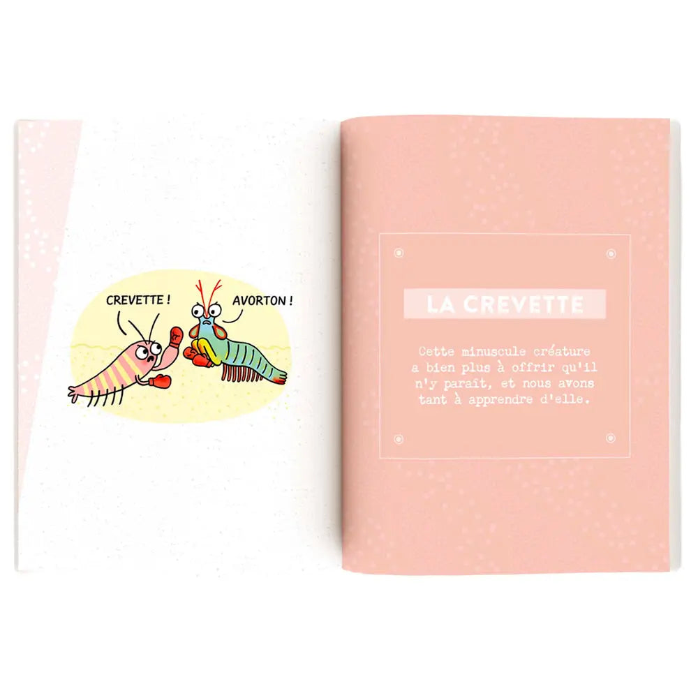 Cette double page du livre Petits Conseils d'une Humble Méduse présente une illustration humoristique de crevettes qui se disputent sur fond rose et blanc.
