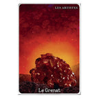 L'Oracle du Peuple Minéral - Arnaud Riou - Coffret 50 Cartes Guy Trédaniel Editeur