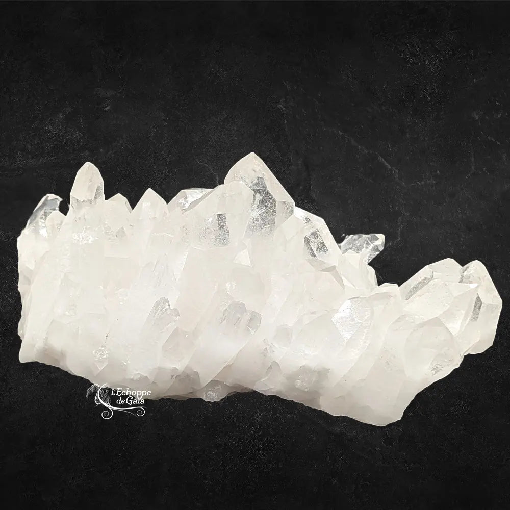 Amas de cristal de roche blanc présentant une rangée de pointes de quartz dressées et translucides sur fond noir.