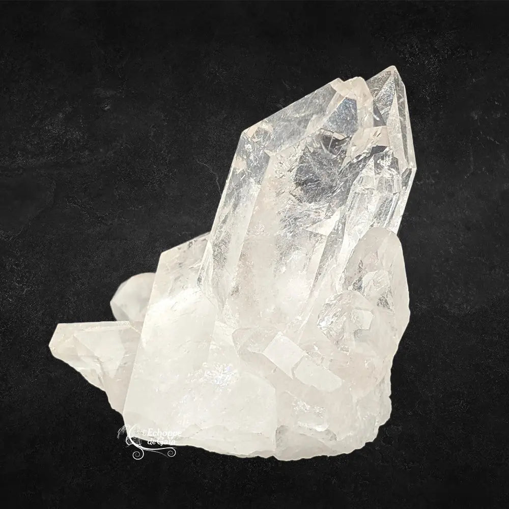 Gros plan d'un amas de cristal de roche avec deux grandes pointes de quartz dressées sur fond noir.
