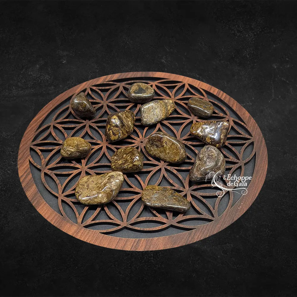 Plusieurs pierres de bronzite polies, aux teintes brunes et reflets métalliques dorés, disposées sur une fleur de vie en bois sur fond noir.