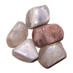 Un groupe de pierres de pierre de lune roulées aux reflets nacrés, présentant des nuances variées allant du blanc crème au beige rosé, disposé sur un fond blanc uni.
