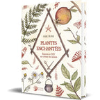 La couverture du livre Plantes Enchantées de Gail Bussi chez Éditions Danaé présente un chaudron suspendu à un trépied en bois, entouré d'illustrations botaniques (champignon, grenade, fleurs) sur fond crème.