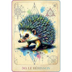 La Prophétie des Animaux - Coffret 56 Cartes - Illyzziah Editions Vega