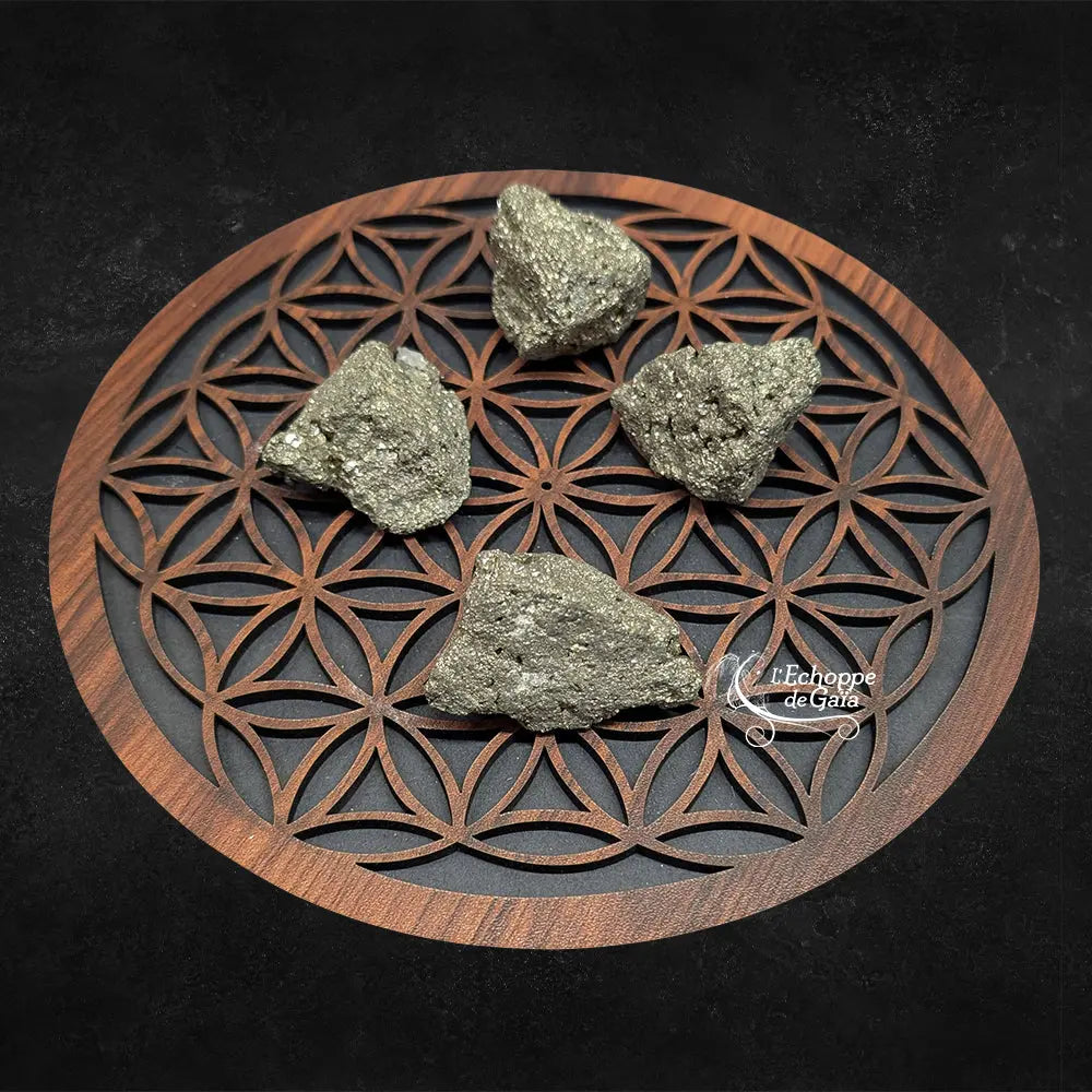 Quatre morceaux de pyrite brute, affichant un éclat métallique doré et une texture cristalline irrégulière, disposés sur une fleur de vie en bois sur fond noir.