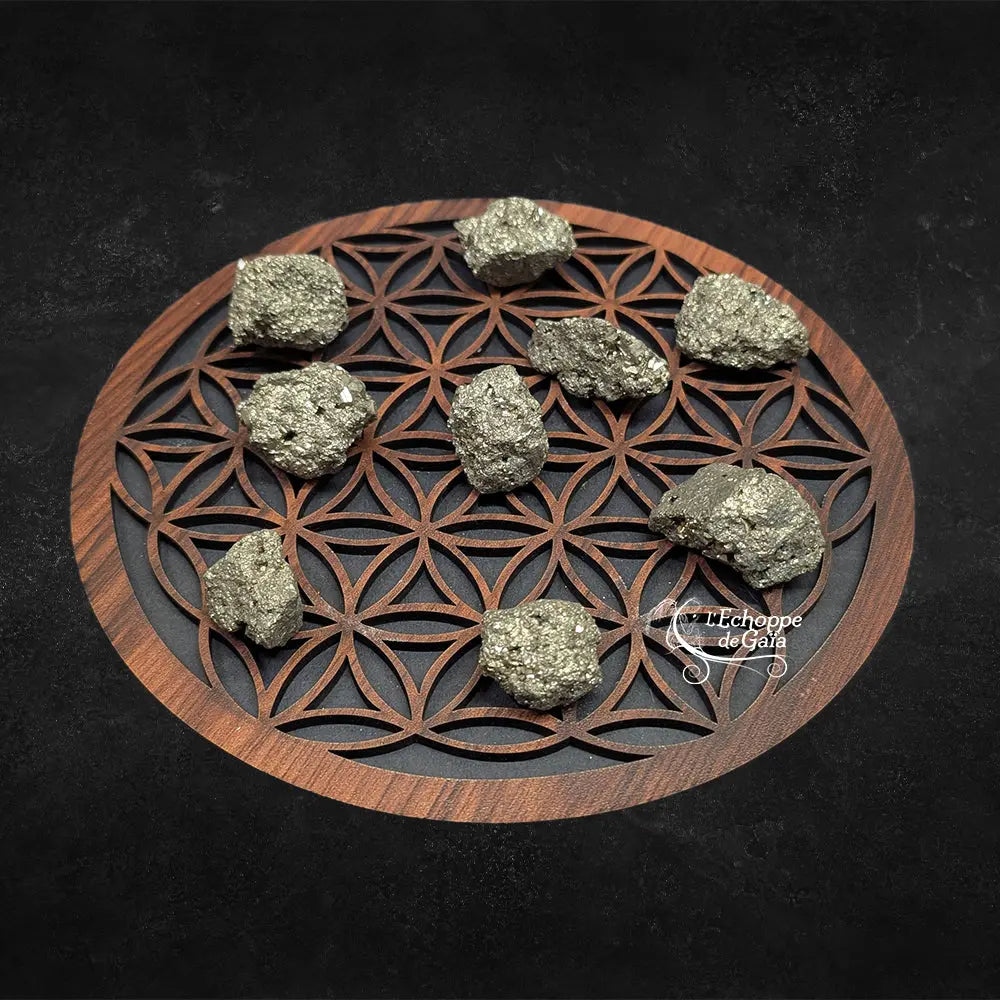Neuf morceaux de pyrite brute, affichant un éclat métallique doré et une texture cristalline irrégulière, disposés sur une fleur de vie en bois sur fond noir.