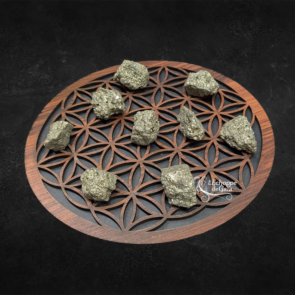 Neuf morceaux de pyrite brute, affichant un éclat métallique doré et une texture cristalline irrégulière, disposés sur une fleur de vie en bois sur fond noir.