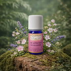 Flacon en verre bleu Herbes et Traditions - Quantiques Olfactifs - Vie Affective entouré de petites fleurs roses et violettes sur un lit de mousse.